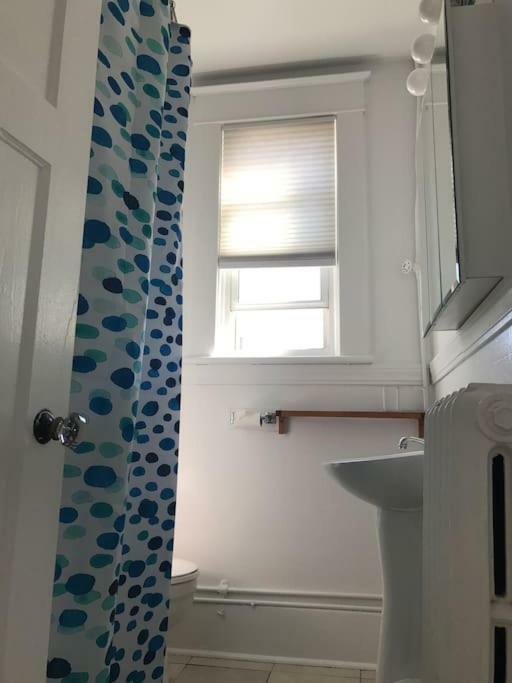 Bright, Clean, Private. In The Heart Of Downtown! Parking, Wi-Fi And Netflix Included Apartman Ottawa Kültér fotó